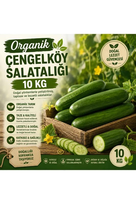 Organik Çengelköy Salatalık 10 kg