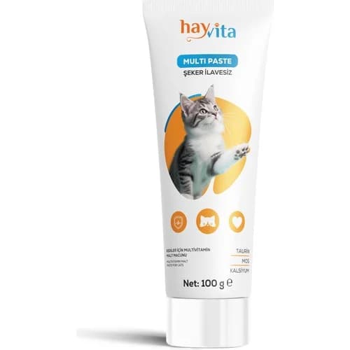 Hayvita Multi Paste 100GR Şeker Ilavesiz