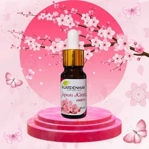Japon Kirazı Esansı