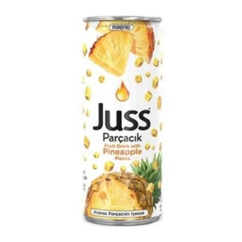 JUSS ANANAS PATÇACIKLI 250 ML (4 Adet) Koli