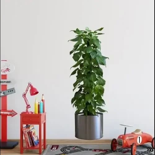 Modern Saksılı Bitki Yapışkanlı Sticker 90x30 Cm