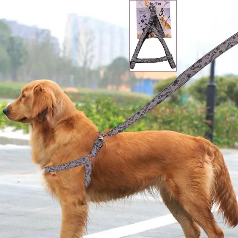 Yumuşak Dokulu Terletmez Köpek Göğüs Tasması Medium