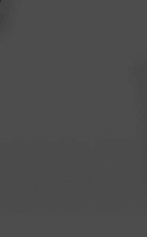 Carbon Grey 2.72 x 11 Metre Fon Kağıdı