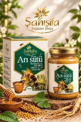 Arı Sütü Ginseng-ginkgo Macun