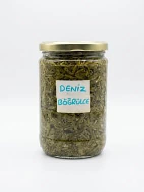 Evlek Ev Yapımı Deniz Böğrülcesi