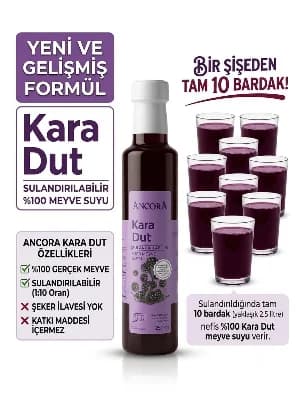 Ancora Karadut Mix 250ml
