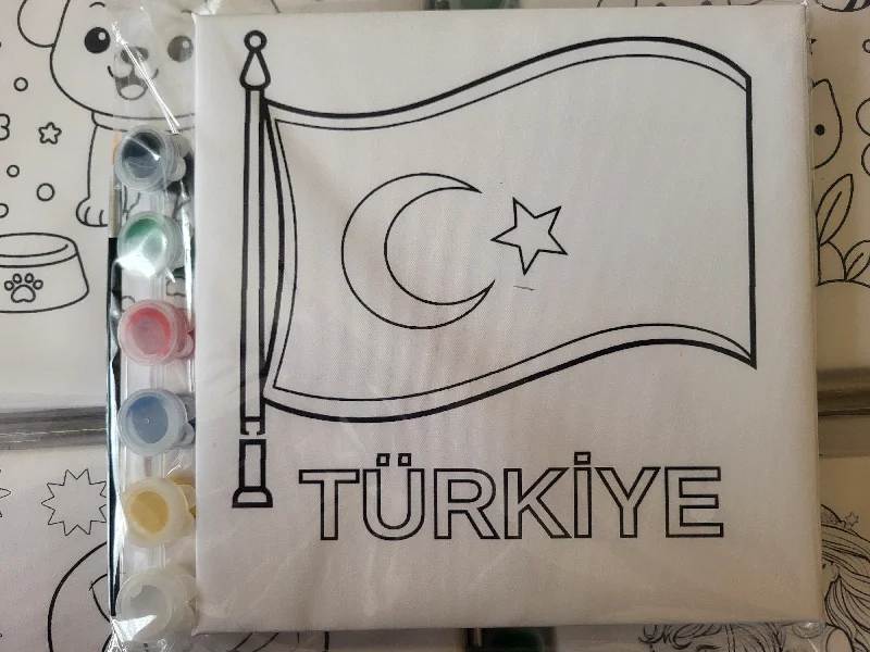 TÜRKİYE 20X20 TUVAL BOYAMA SETİ
