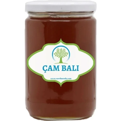 Çam Balı
