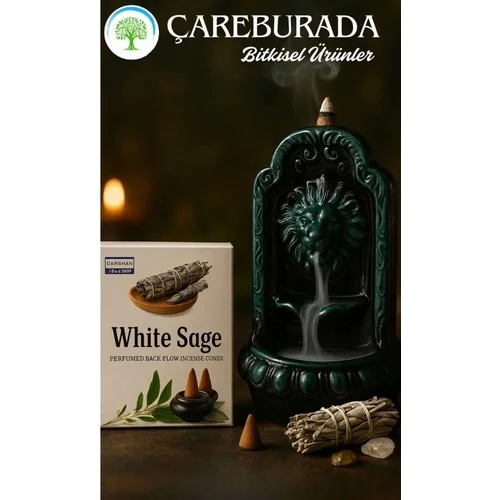 White Sage Geri Akış Tütsüsü + Aslan Ağzı Seramik Şelale Tütsülük