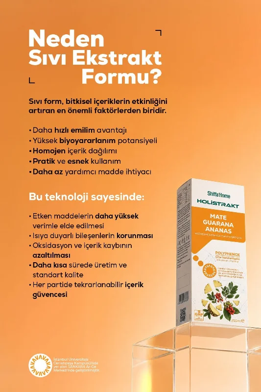 HOLİSTRAKT - Guarana, Mate, Yeşil Çay, Ananas İçeren Sıvı Ekstrat 250 ML
