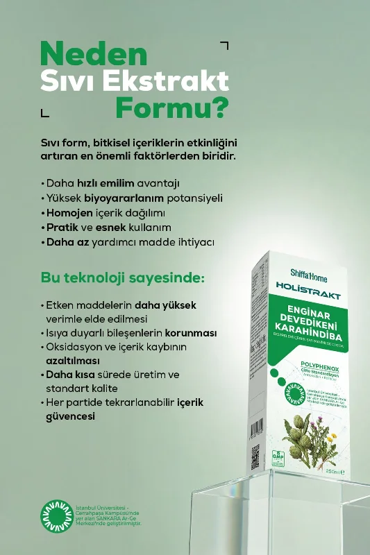 HOLİSTRAKT - Enginar, Devedikeni ve Karahindiba İçeren Sıvı Ekstrat 250 ML