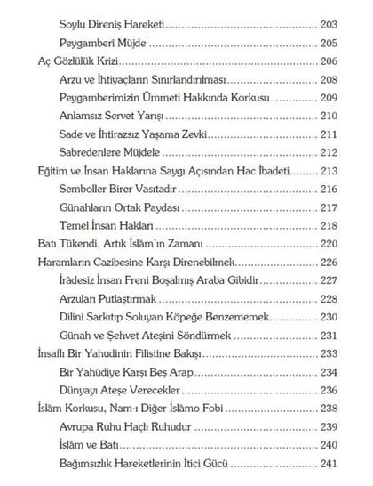 Erkam Yayınları - Şimdi İslam'ın Zamanı - Ali Rıza Temel – 4. görsel
