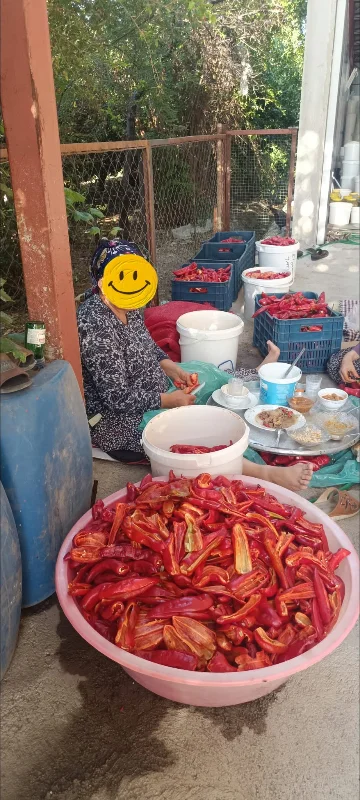 Hatay El yapımı gün kurusu tatlı biber salçası 5 kg – 2. görsel