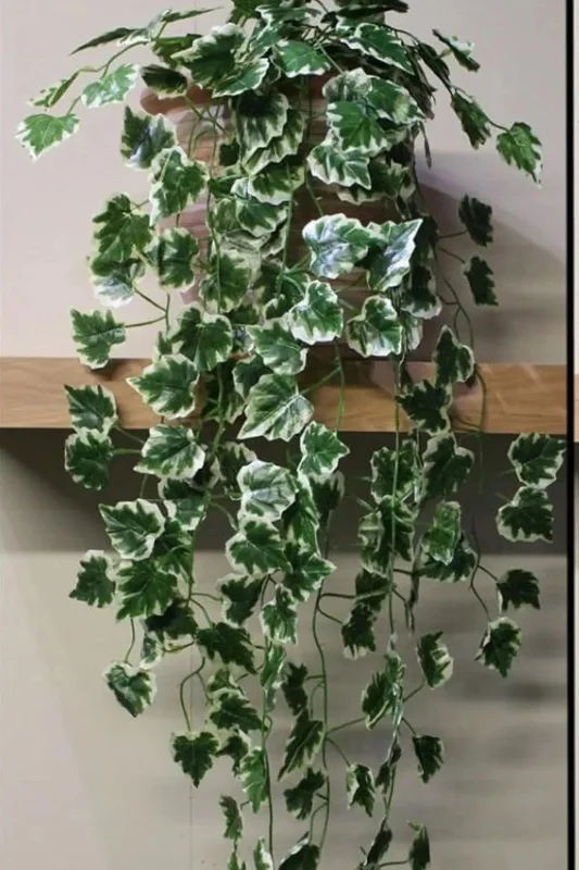 YAPAY ÇİÇEK DERYASI Yapay Lux Sarmaşık 90 Cm 5 Dal Kokina Çit Ağacı Duvar Asılı Saksısız Sarkan Bitki Sarkıt