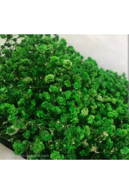 yapay çiçek evi Kuru Çiçek Doğal YEŞİL Cipso 45 gram 1. Kalite Şoklanmış Bozulmaz – 2. görsel