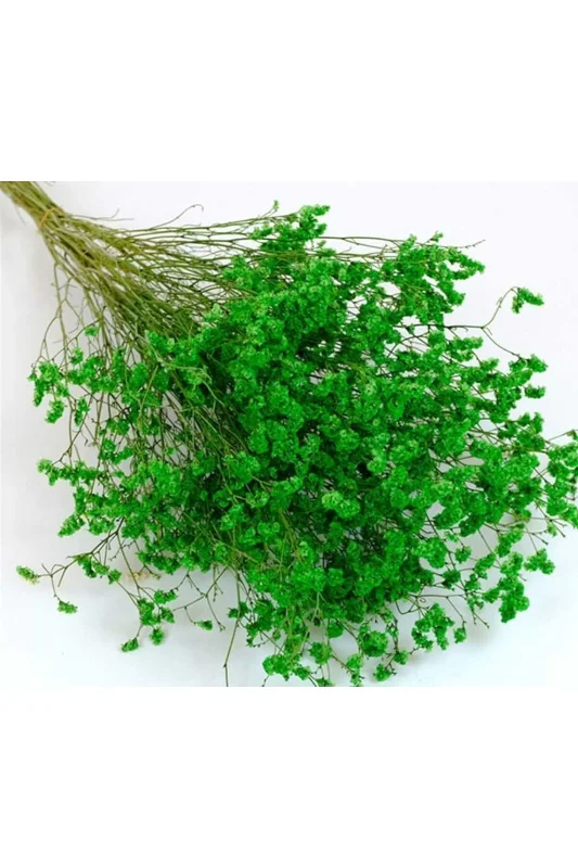 yapay çiçek evi Kuru Çiçek Doğal YEŞİL Cipso 45 gram 1. Kalite Şoklanmış Bozulmaz – 4. görsel