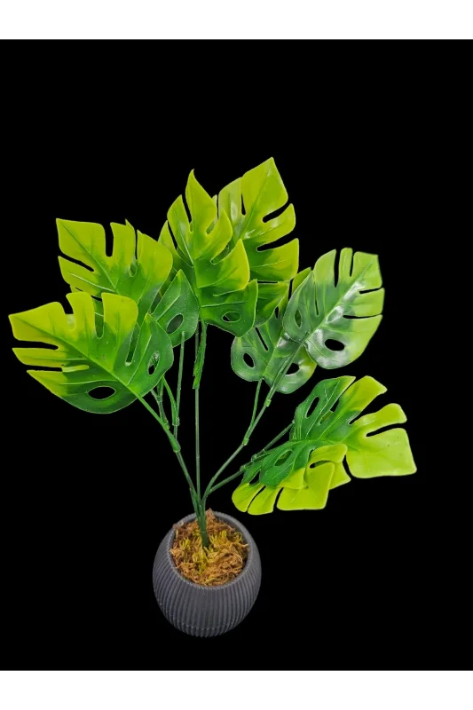 YASİMA Yeşil Difenbahya Yeşil Bitki Ev Dekor Saksı Vazo Süsü Küçük 41 Cm – 2. görsel
