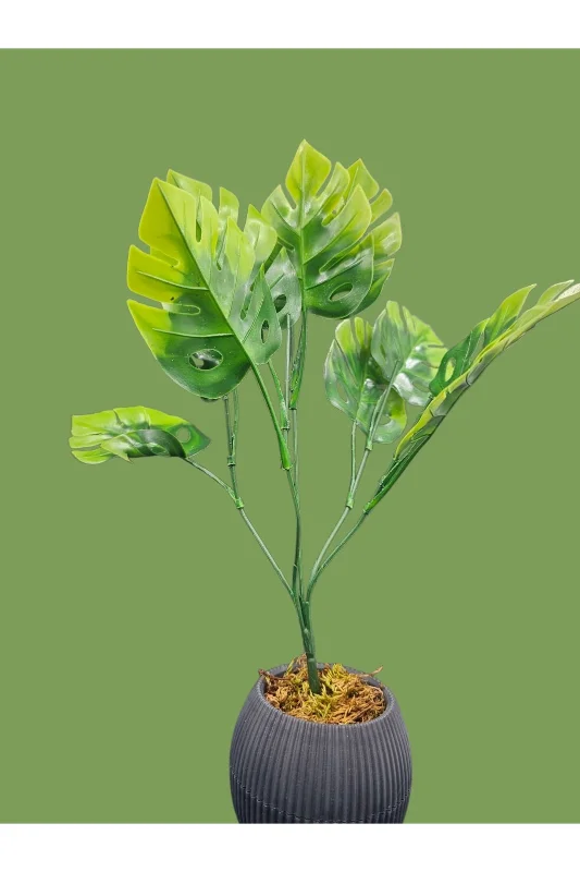 YASİMA Yeşil Difenbahya Yeşil Bitki Ev Dekor Saksı Vazo Süsü Küçük 41 Cm – 3. görsel