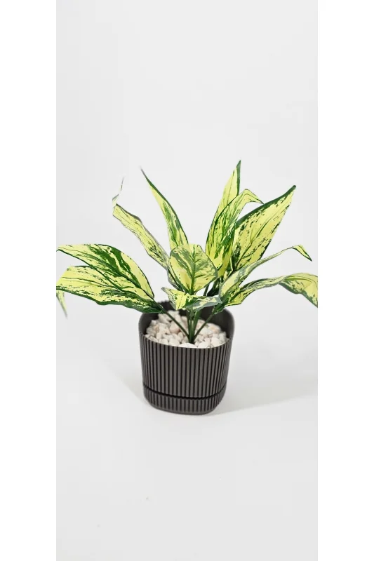 YASİMA Kılıç Çiçeği Sarılı 6 Dallı 25 Cm Ev Dekor Saksı Süsü – 3. görsel