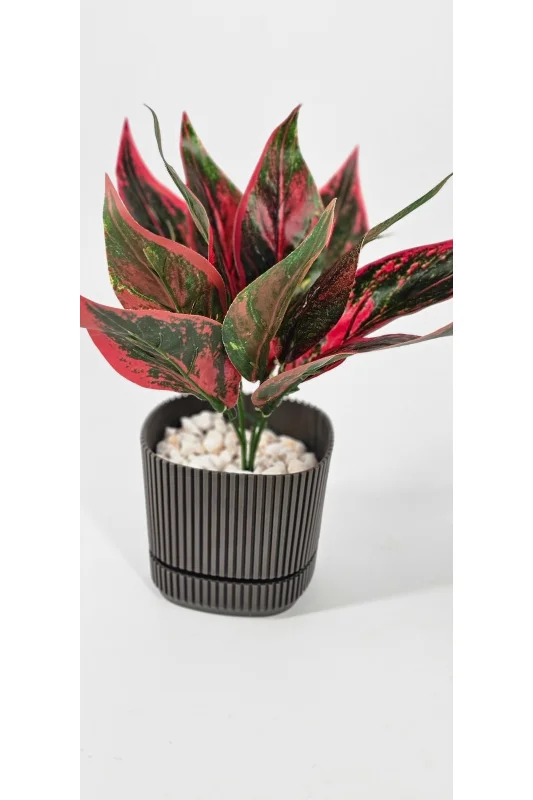 yapay çiçek evi 27 Cm Kırmızı Yeşil Kılıç Çiçeği Ev Dekor – 3. görsel