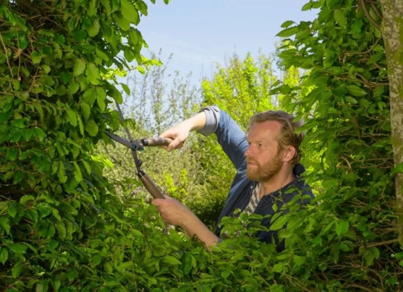 Gardena 12300-20 NatureCut Çit Makası – 3. görsel
