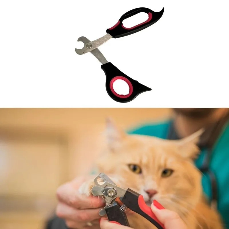 Ergonomik Kaymaz Saplı Büyük Irk Evcil Hayvan Tırnak Makası – 4. görsel