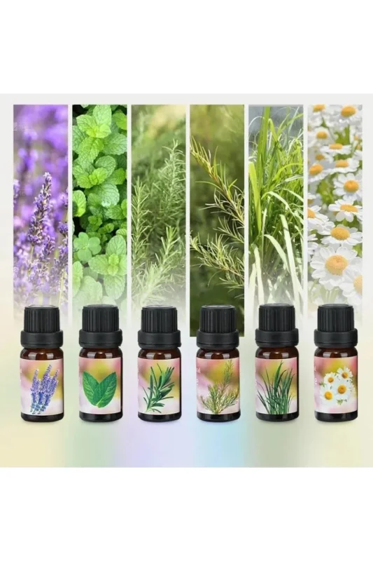 Ferahlık Verici 6'lı Aromatik Uçucu Yağ Seti Oda Difüzörü – 2. görsel