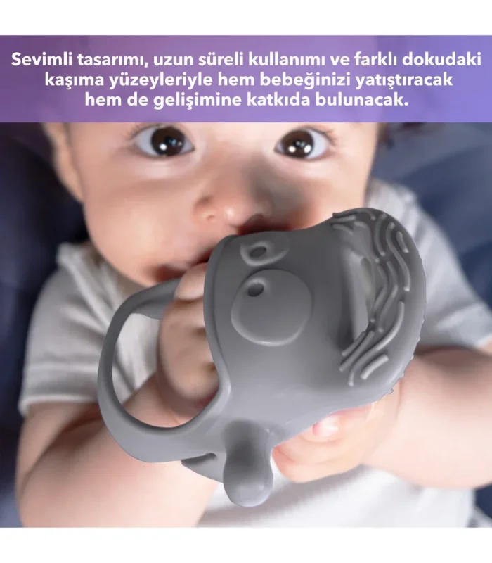 Gri Renkli Diş Kaşıyıcı 1 Adet