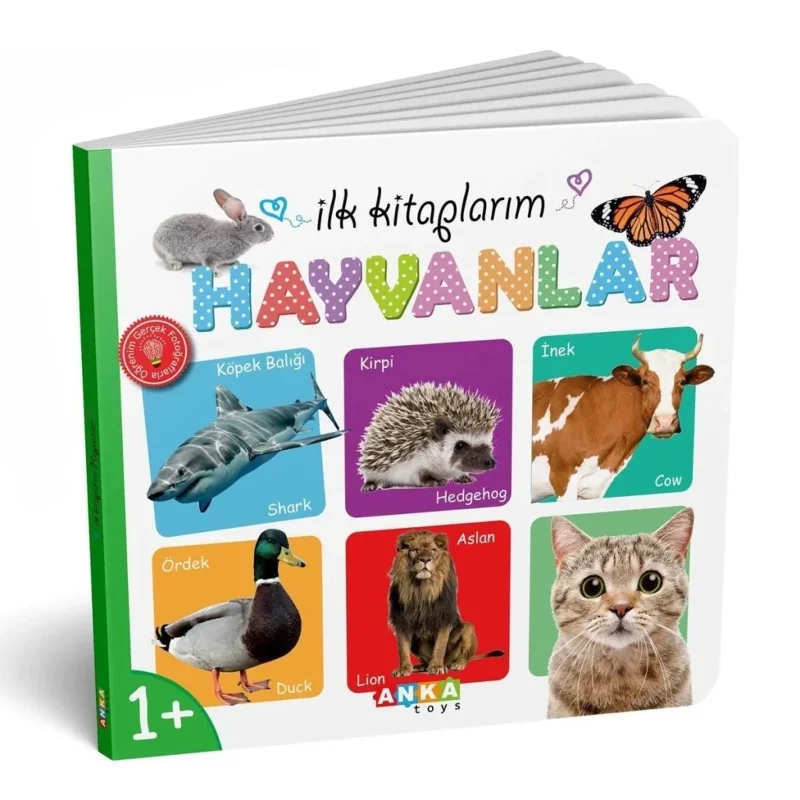Eğitici İlk Kitaplar 6'lı Set Çocuklar İçin