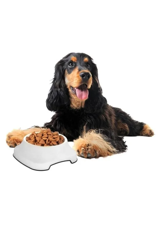 Ergonomik Silikon Tabanlı 2 L Plastik Kedi ve Köpek Mama Kabı