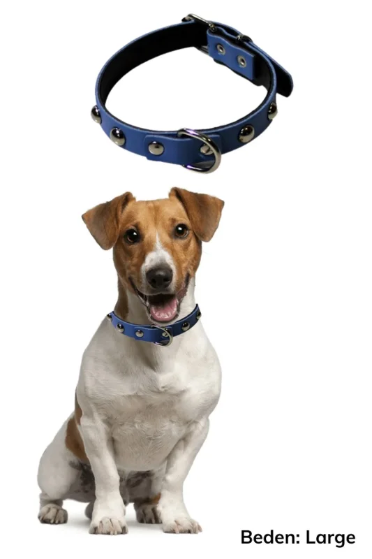 Ergonomik Yumuşak Deri Büyük Boy Köpek Gezdirme Tasması