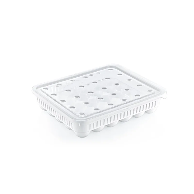 Pratik Kullanım için Ergonomik 30'lu Yumurta Saklama Kabı
