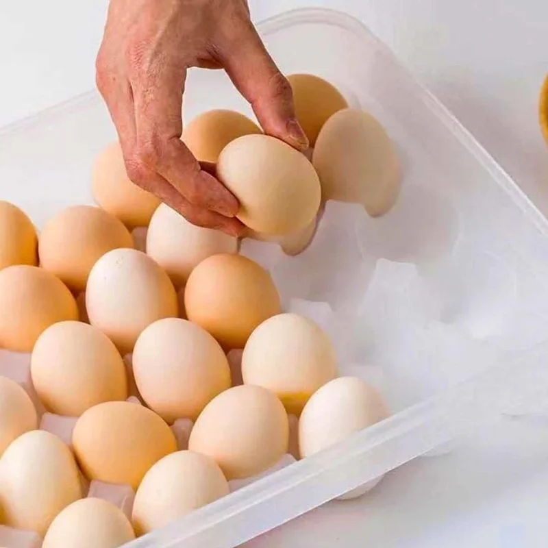 Pratik Kullanım için Ergonomik 30'lu Yumurta Saklama Kabı