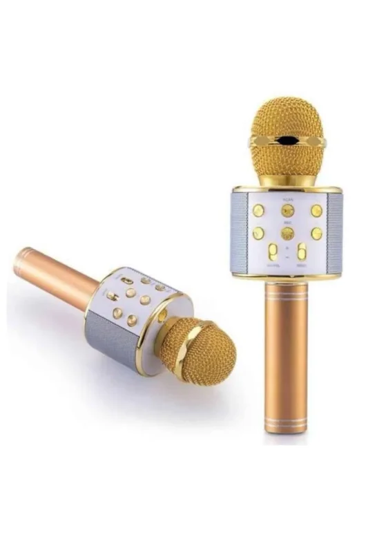 Fonksiyonel Karaoke Mikrofon Bluetooth Hoparlör 10 Metre Çekim Alanı