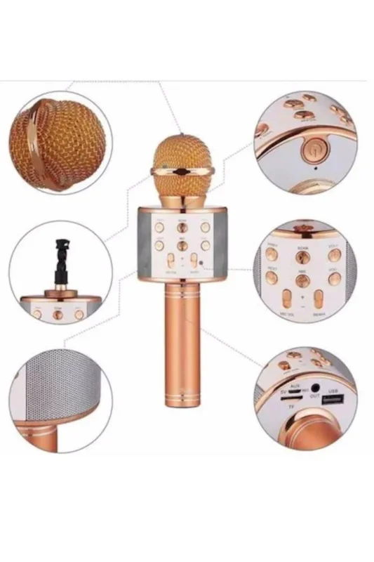 Fonksiyonel Karaoke Mikrofon Bluetooth Hoparlör 10 Metre Çekim Alanı – 4. görsel