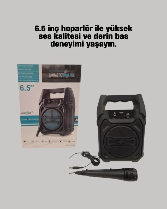 Kompakt Bluetooth Hoparlör 6.5 İnç Usb Tf Kart Mikrofonlu