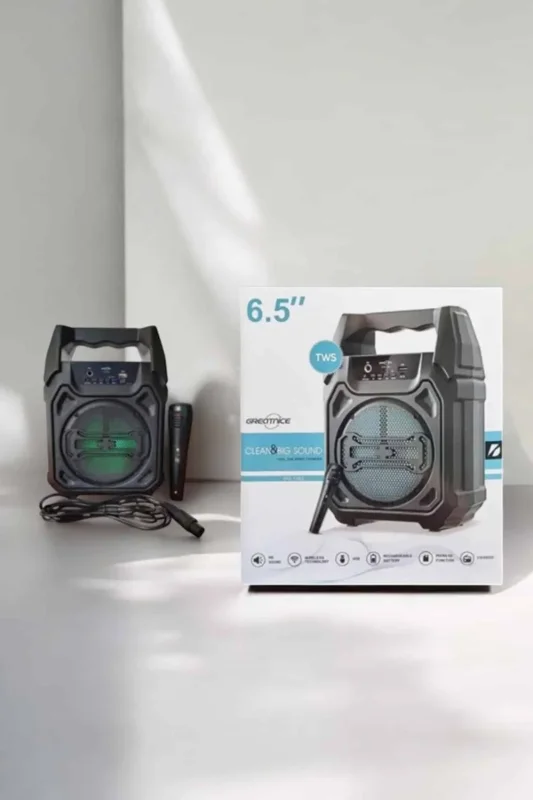 Şarj Edilebilir Bluetooth Hoparlör 6.5 İnç Taşınabilir
