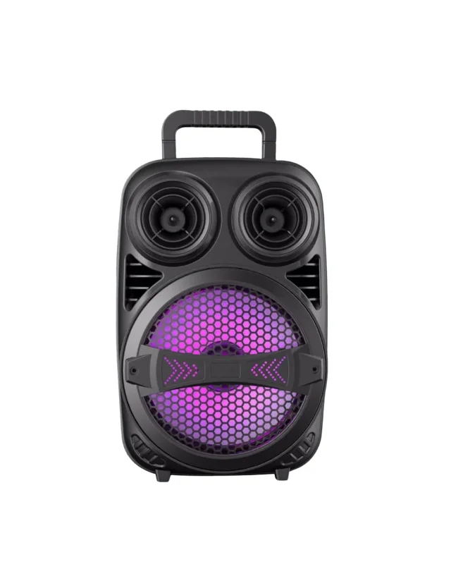 Taşınabilir Bluetooth Hoparlör 6.5 İnç Modern Ses Sistemi