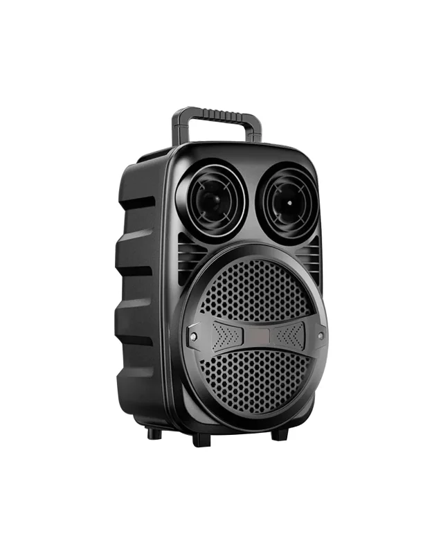 Rgb Işıklı Kablosuz Karaoke Hoparlör 6.5 İnç Bluetooth