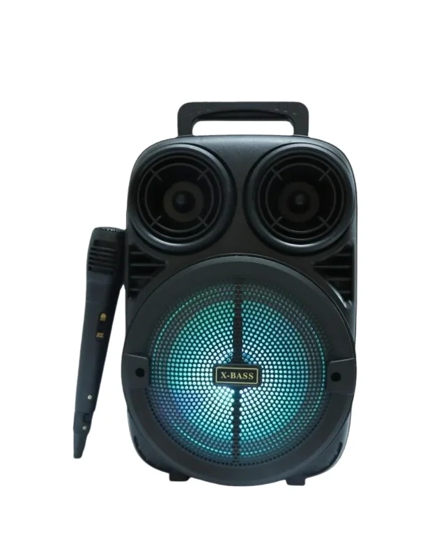 Taşınabilir Kablosuz Karaoke Hoparlör 6.5 İnç Mikrofonlu