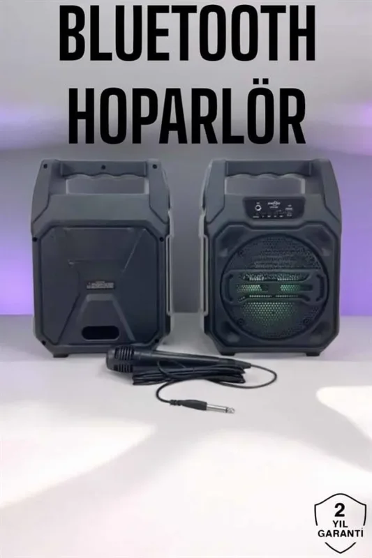 Kablosuz Bluetooth Hoparlör 6.5 İnç Taşınabilir Ses Çözümü