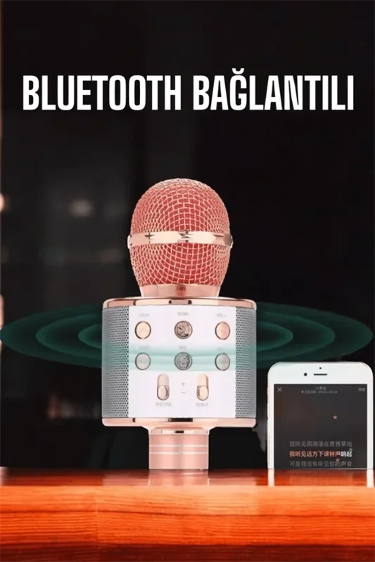 Karaoke Mikrofon Bluetooth Usb Aux Girişli 25 Cm Eğlence