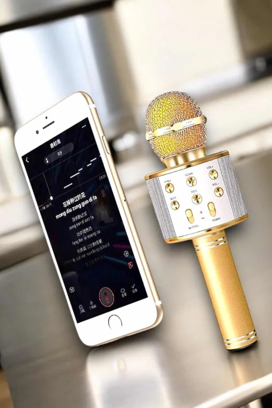 Şarjlı ve Uzun Pil Ömürlü Karaoke Mikrofon USB Bellek Destekli, Profesyonel Ses – 2. görsel