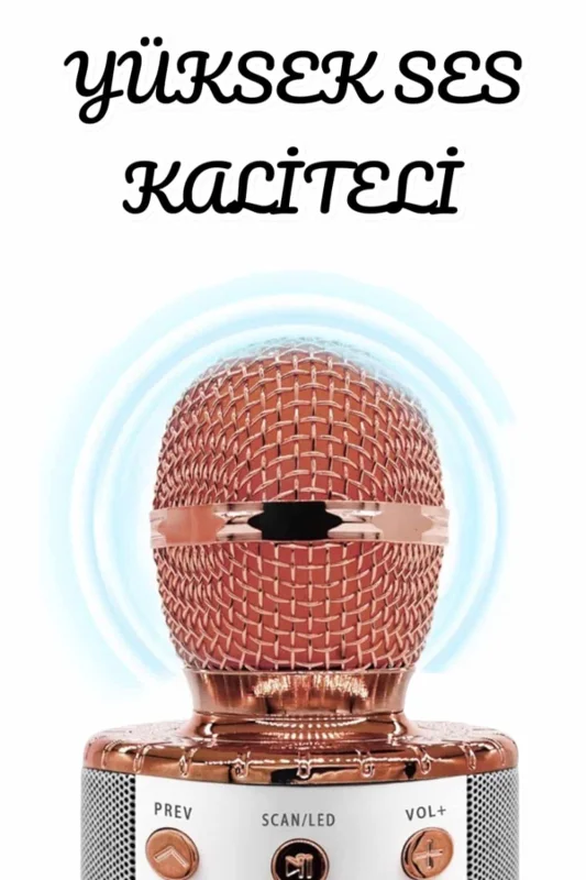 Şarjlı ve Uzun Pil Ömürlü Karaoke Mikrofon USB Bellek Destekli, Profesyonel Ses – 3. görsel