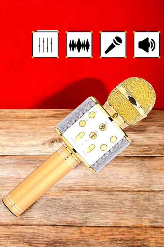 Şarjlı ve Uzun Pil Ömürlü Karaoke Mikrofon USB Bellek Destekli, Profesyonel Ses – 4. görsel