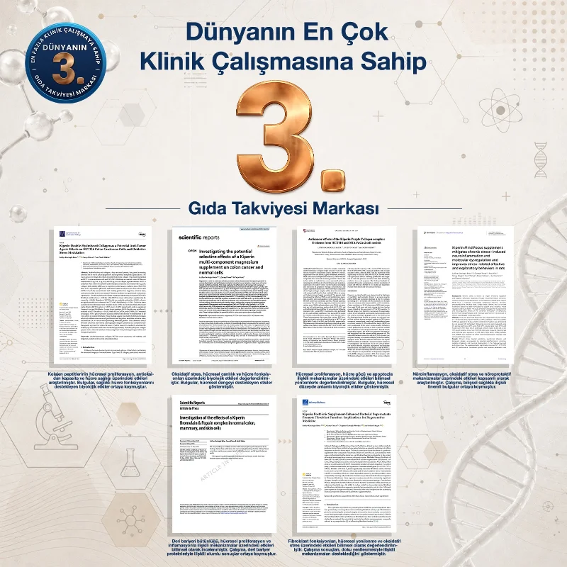 Max Formula | Güçlü | C Vitamini, Beta GGlukan Kara Mürver, Sarımsak, D3, Çinko(30Kapsül)