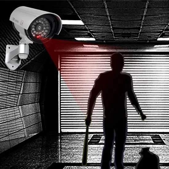 Görünümlü Gece Görüşü Kamera 1 Adet Güvenlik Çözümü