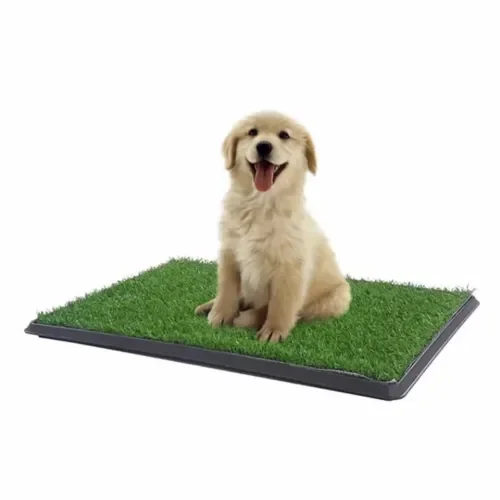 Mini Tuvalet Eğitim Çiti 47 Cm Yavru Köpekler İçin