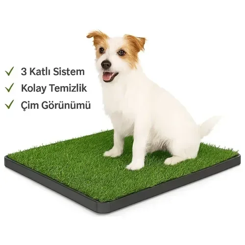 Mini Yavru Köpek Tuvalet Eğitimi Pedleri 47x34 Cm