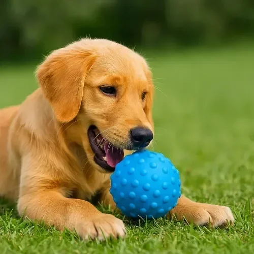 Dikenli Mavi Köpek Oyun Topu 1 Adet
